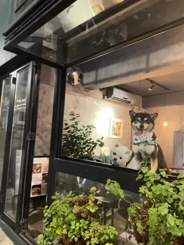 Mixo - Restaurant photo