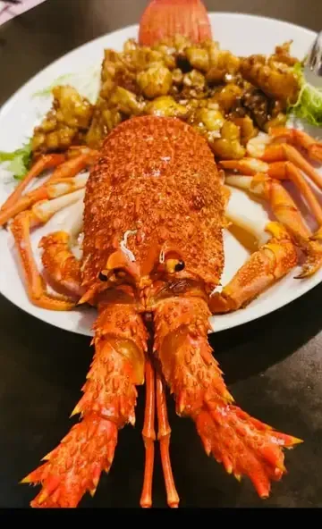 HUNG's CUISINE - Restaurant photo