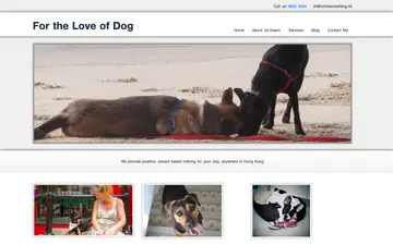 A dog owner learning reward-based skills during a home session
