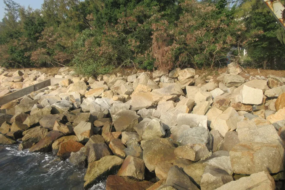 Lawn at Cyberport Waterfront Park in 2019