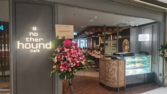 Another Hound Cafe - venue photo