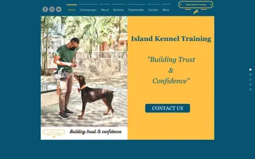 A Hong Kong owner practising calm dog training at home