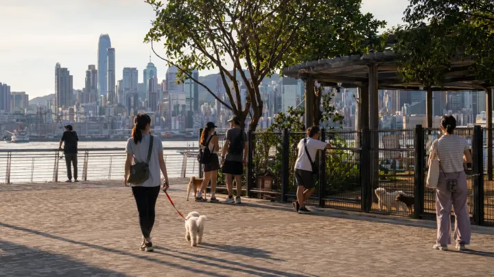 Kwun Tong Ferry Pier Square Pet Garden