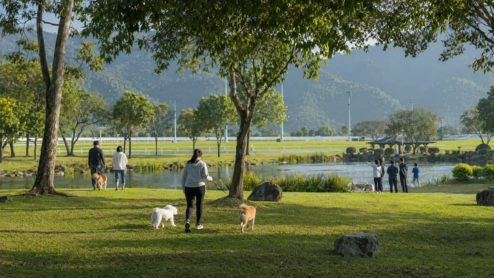 Open parkland near a pet bus destination
