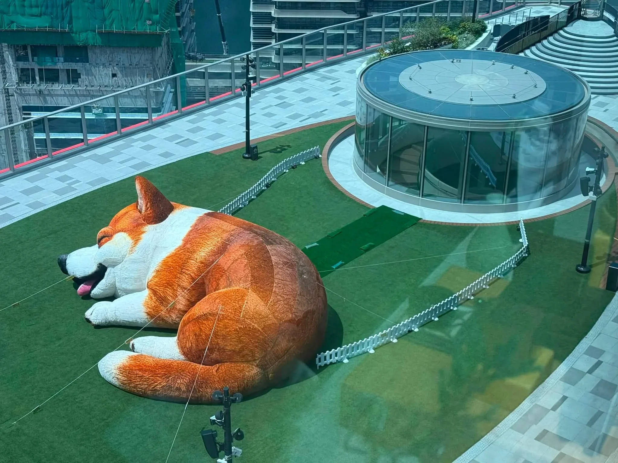 Giant reclining corgi installation on the artificial lawn at Mega Sky, photographed from above