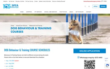 A dog and handler practising reward-based skills in a Hong Kong class