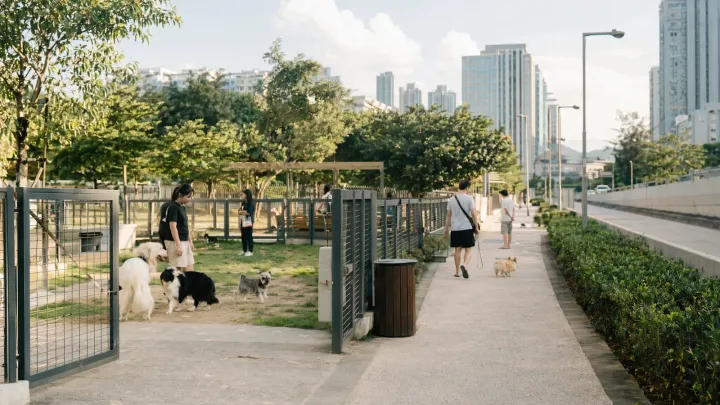 Wan Po Road Pet Garden
