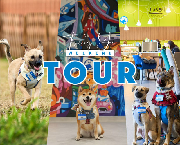 SPCA Tsing Yi Weekend Tour collage showing dogs at the centre