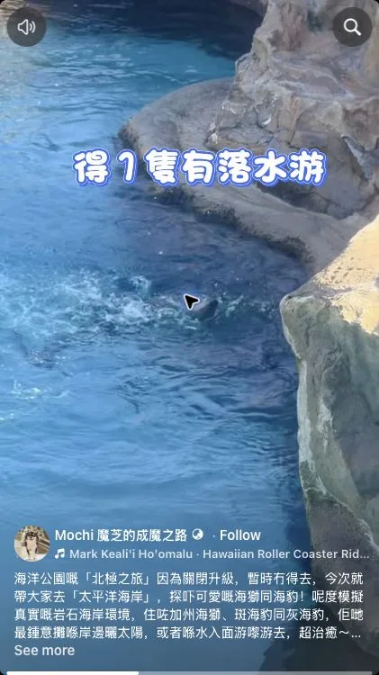 會員狗狗日實訪在太平洋海岸看到海獅游水