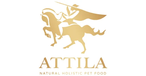 ATTILA 品牌標誌