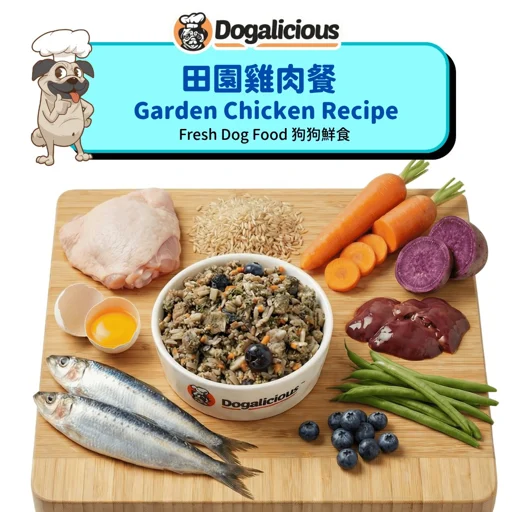 Dogalicious 狗糧包裝