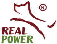 Real Power 品牌標誌