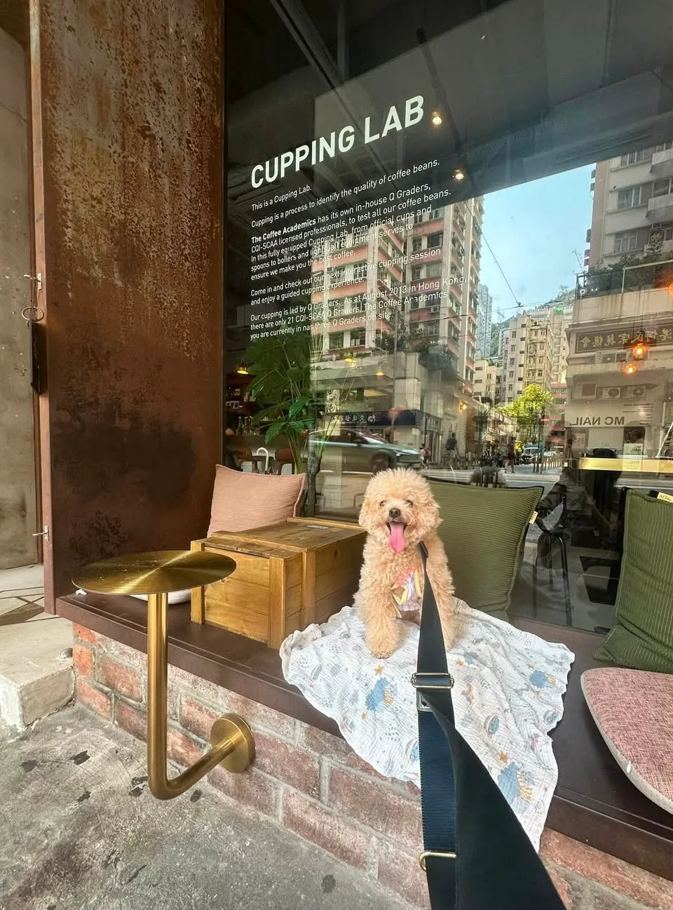 THE COFFEE ACADEMICS - Restaurant photo