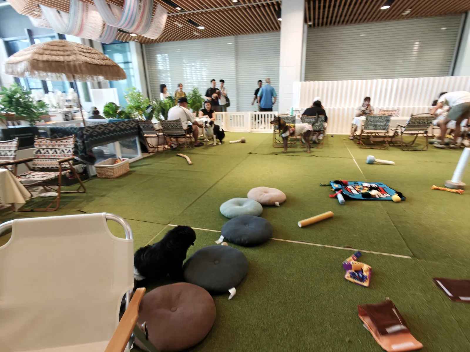 2.0 Cafe & Bar - DogDogHK 食評相片