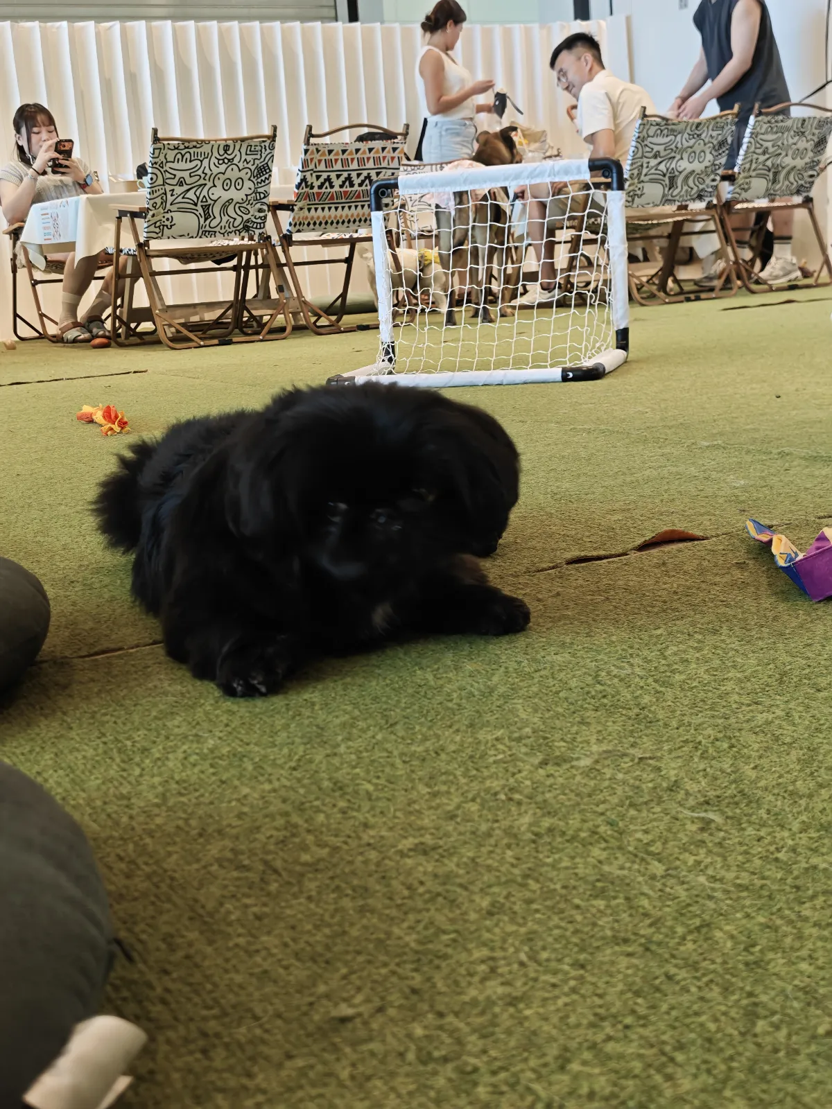 2.0 Cafe & Bar - DogDogHK 食評相片